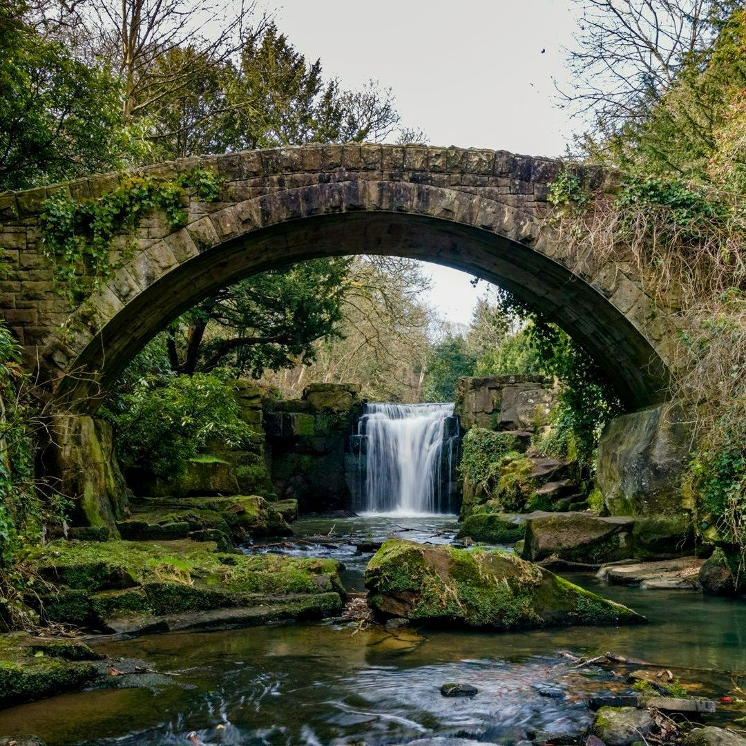 Dog Walking Services in Gosforth
