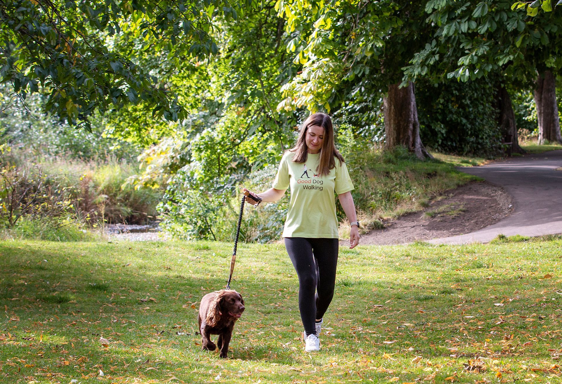 Good-Dog-Walking-Services-Amble
