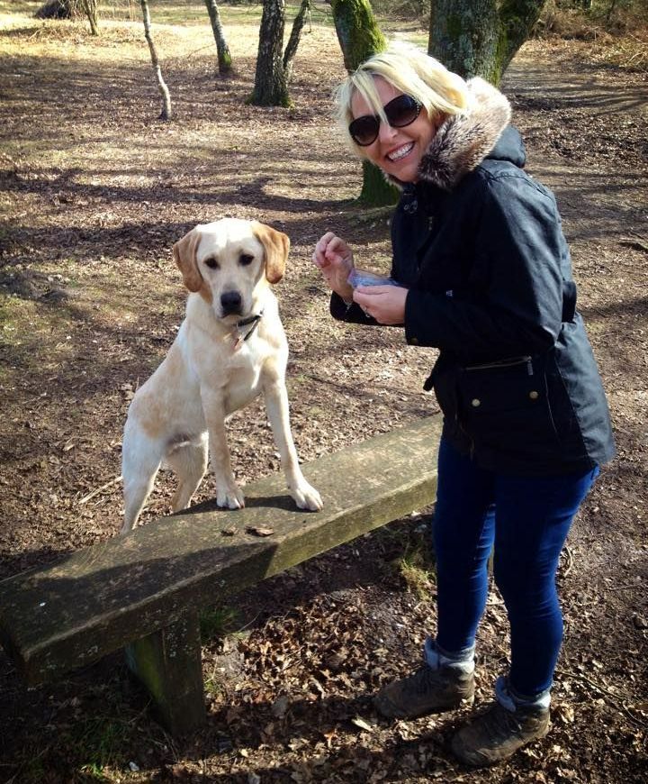 Good-Dog-Walking-Services-Amble