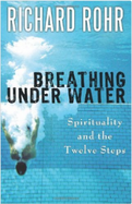 Book cover: Man diving in a pool, title 