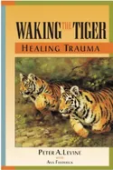 Book cover: 