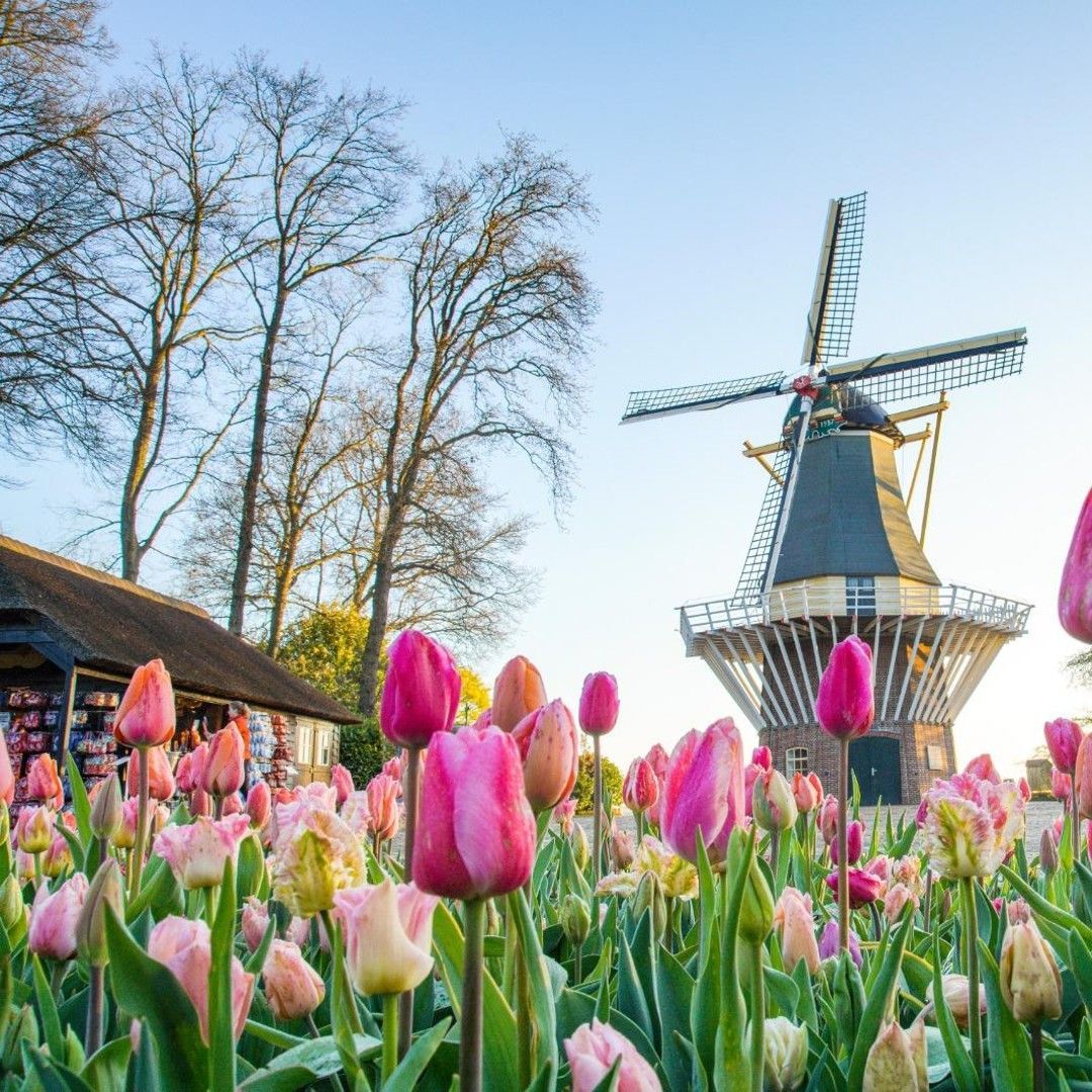 Keukenhof in Lisse