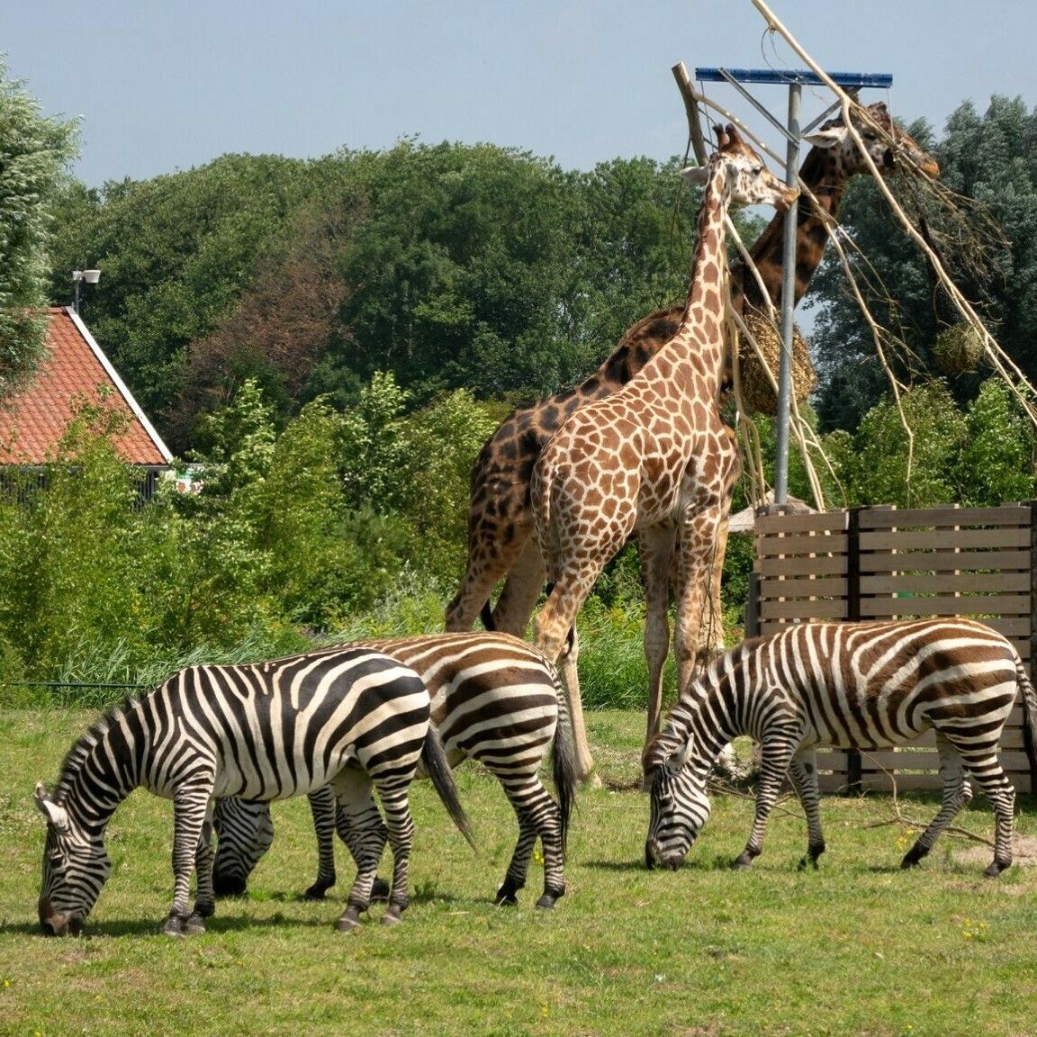 van Blanckendaell park in Tuitjehorn
