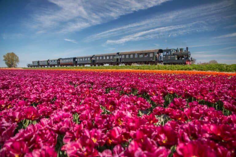 Stoomtram Hoorn - Medemblik
