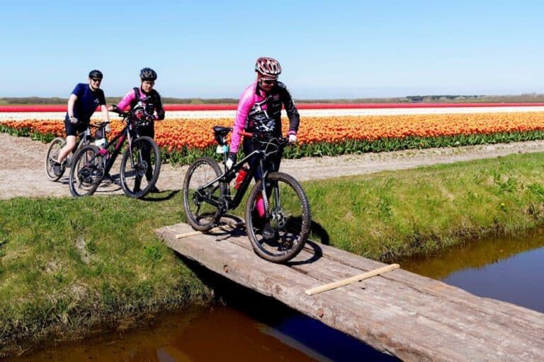 Strade tulipani