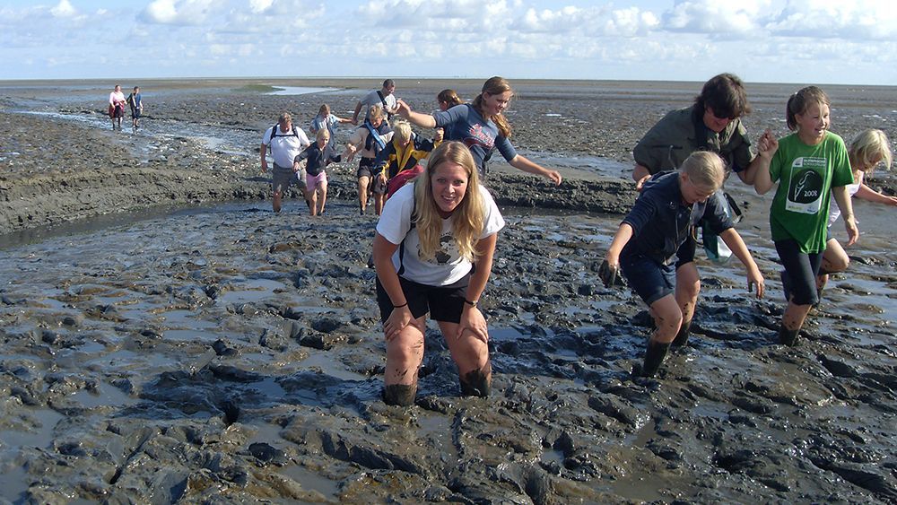 Wadlopen