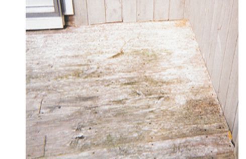 deck-before