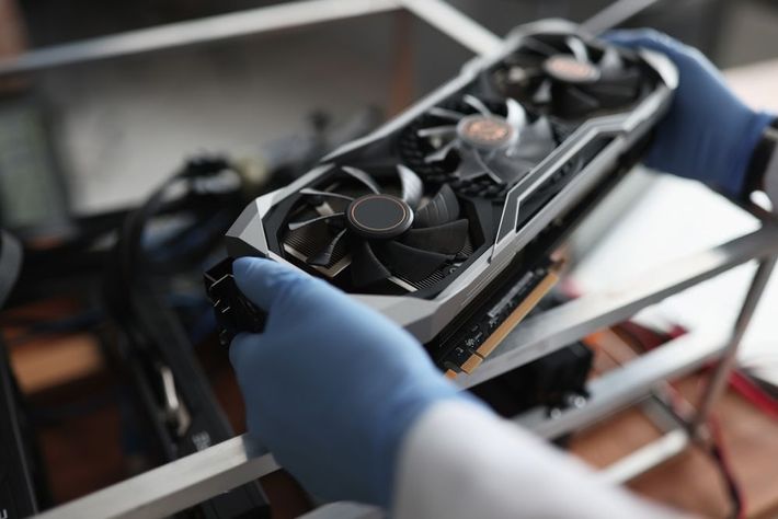 A Person Wearing Blue Gloves is Holding a Graphics Card in Their Hands — Coastal Computing Solutions in Taree, NSW