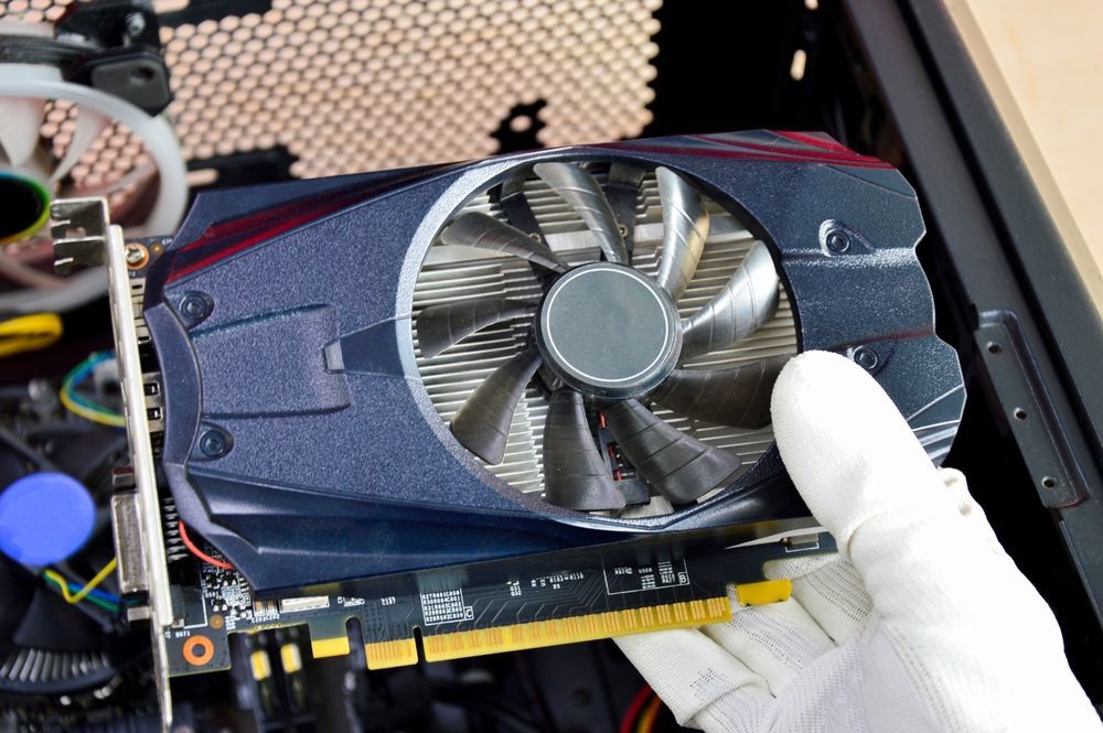 A Person is Holding a Graphics Card in Their Hand — Coastal Computing Solutions in Taree, NSW