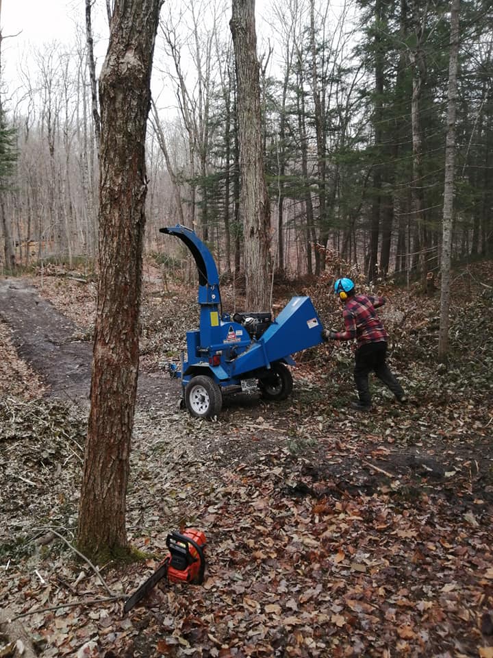 Un homme utilise une déchiqueteuse d'arbres dans les bois.