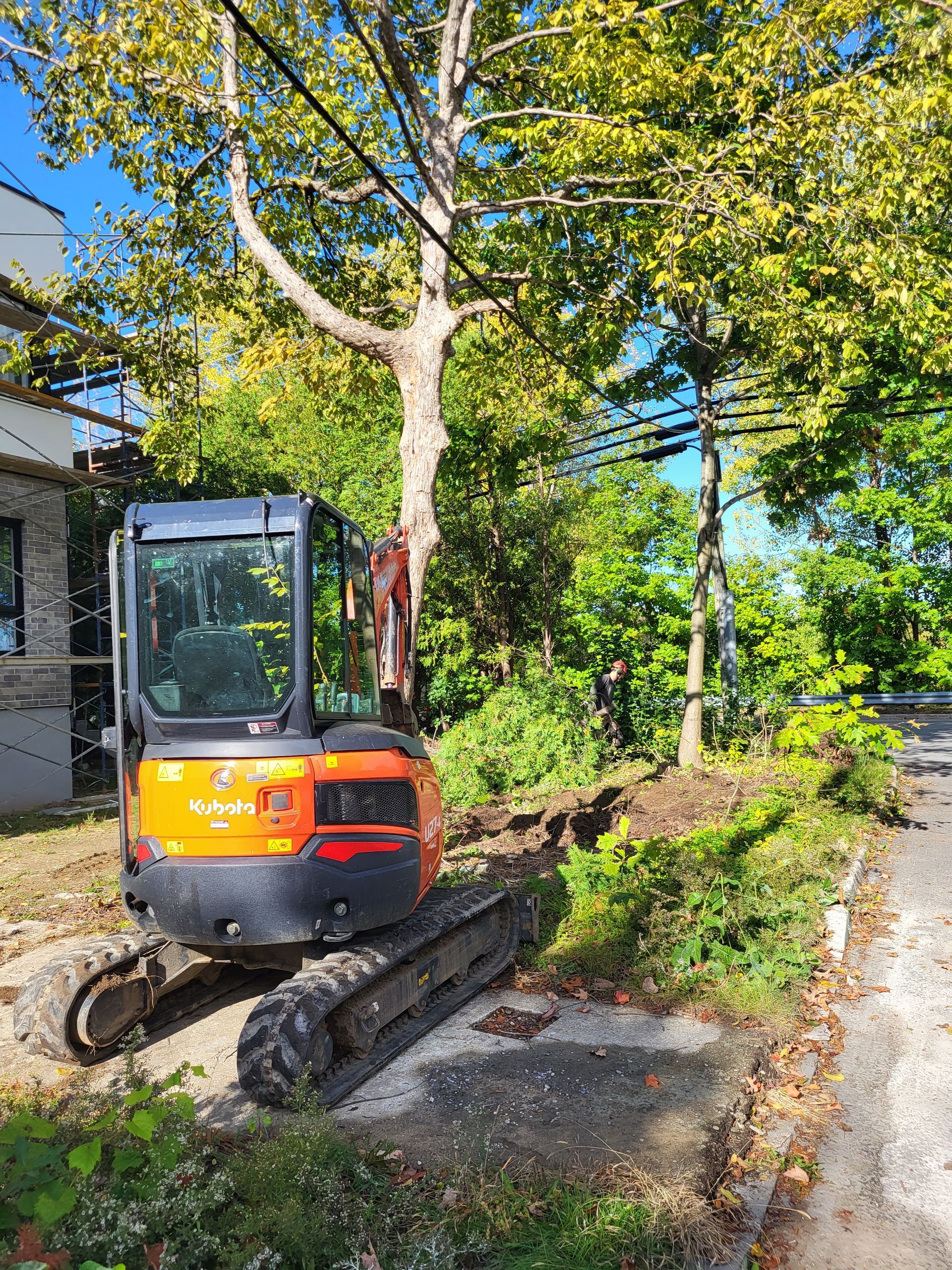 Une petite excavatrice est assise sur le bord d'une route à côté d'un arbre.