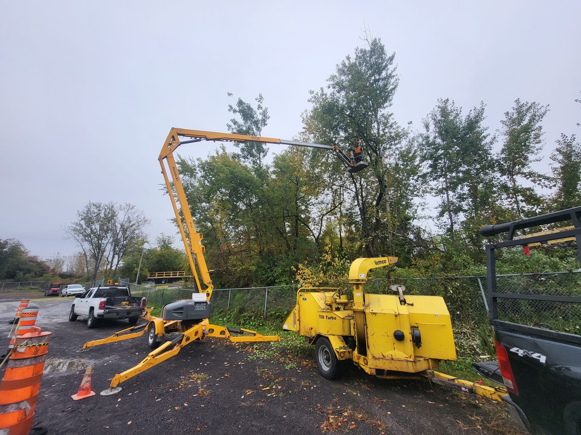 Une machine jaune coupe un arbre sur un parking.