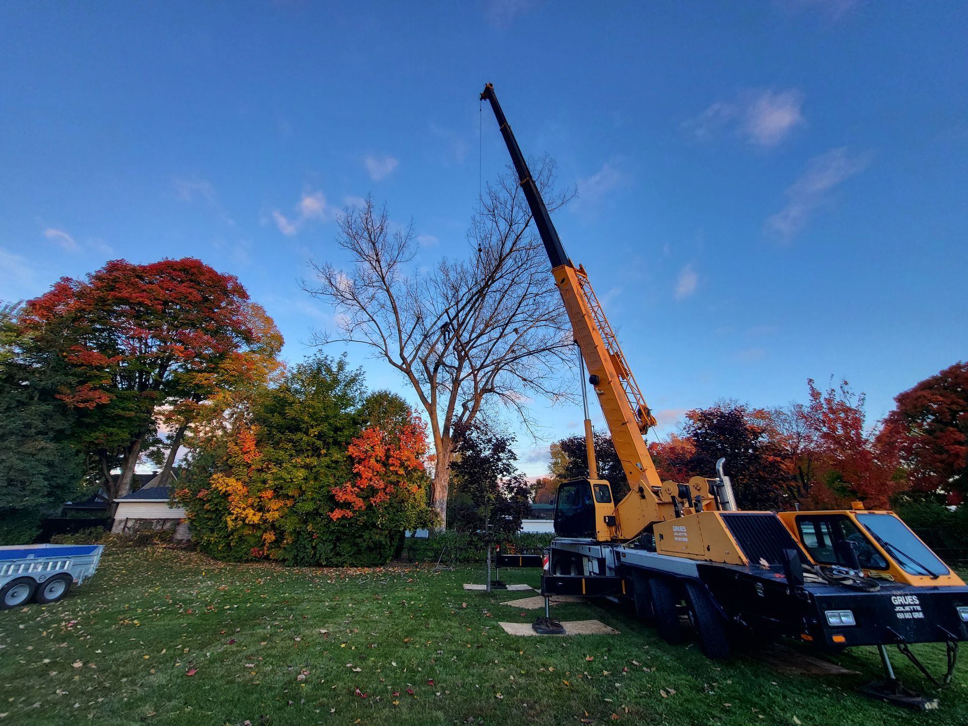 Une grande grue jaune est assise au sommet d'un champ couvert d'herbe.