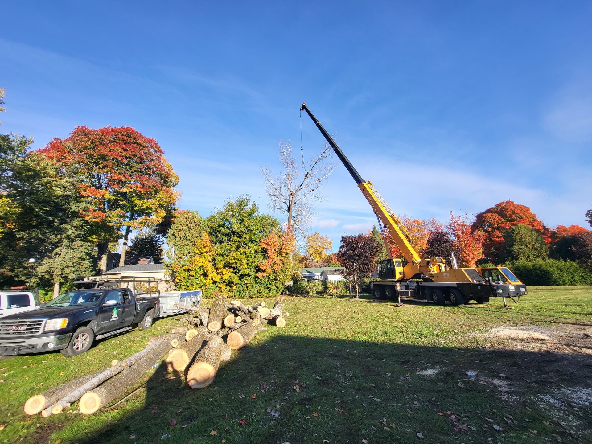 Une grue soulève un arbre dans un champ.