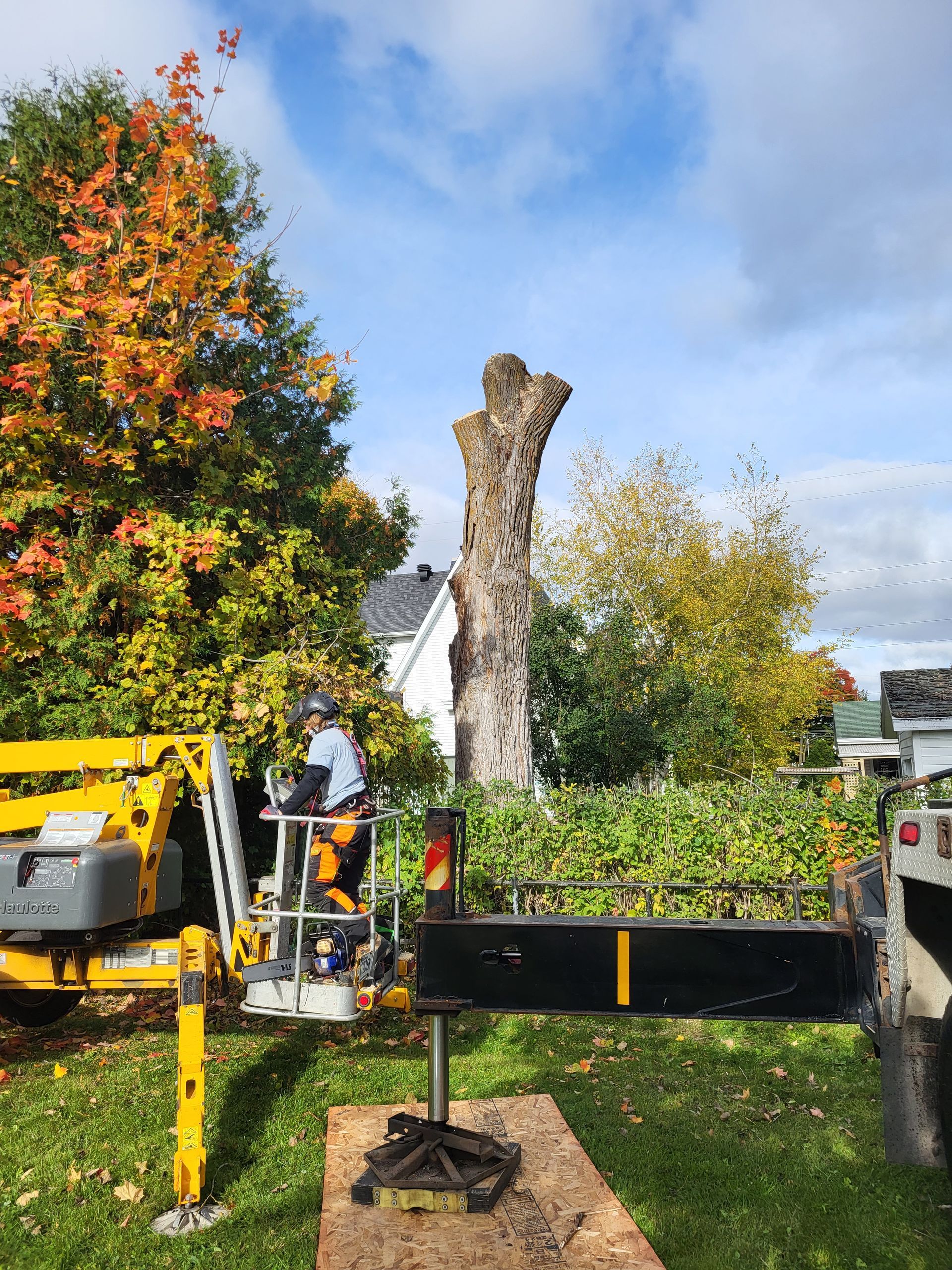 Un homme coupe une souche d'arbre avec une tronçonneuse.