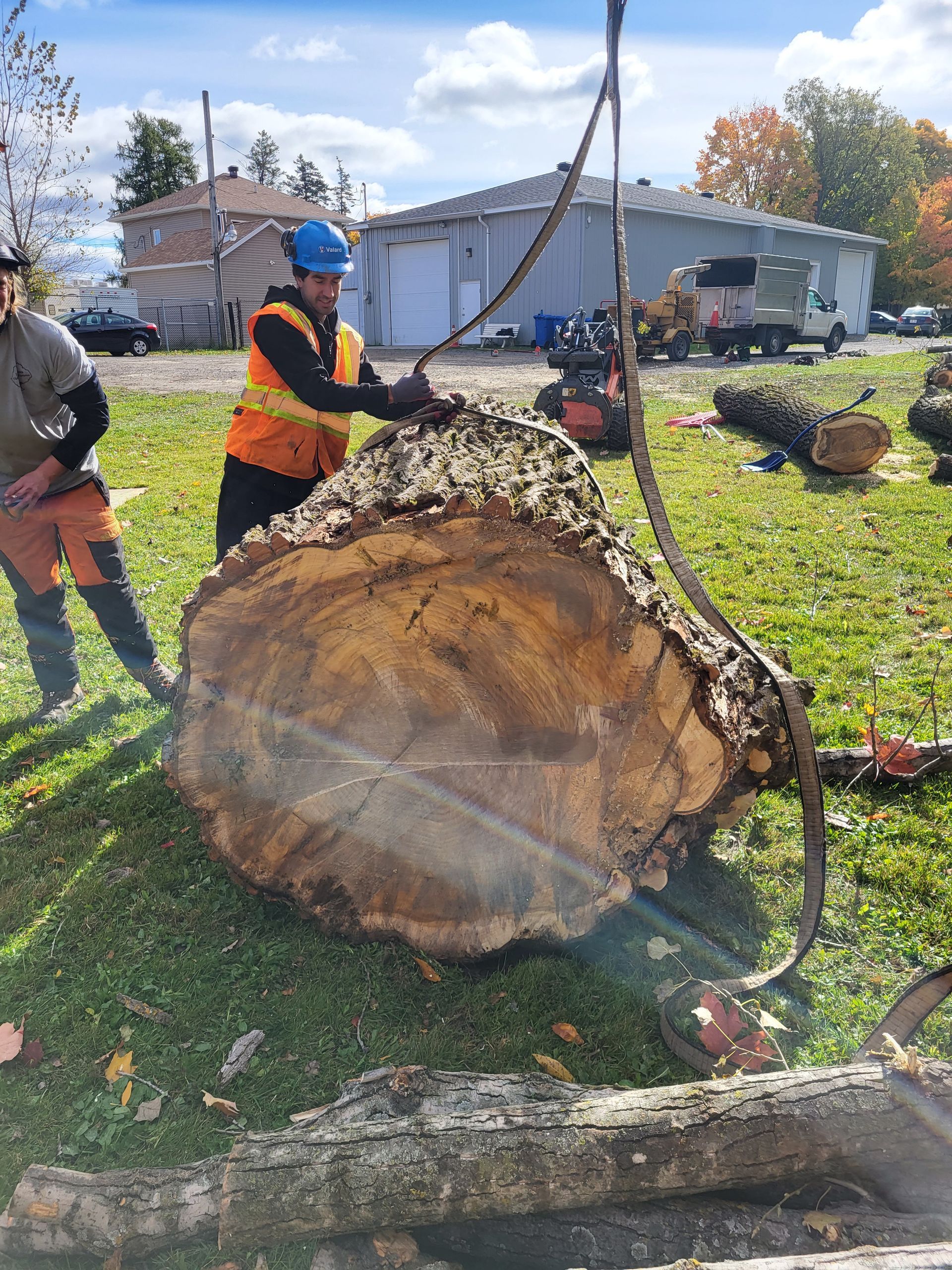Un homme coupe une grosse souche d'arbre avec une tronçonneuse.