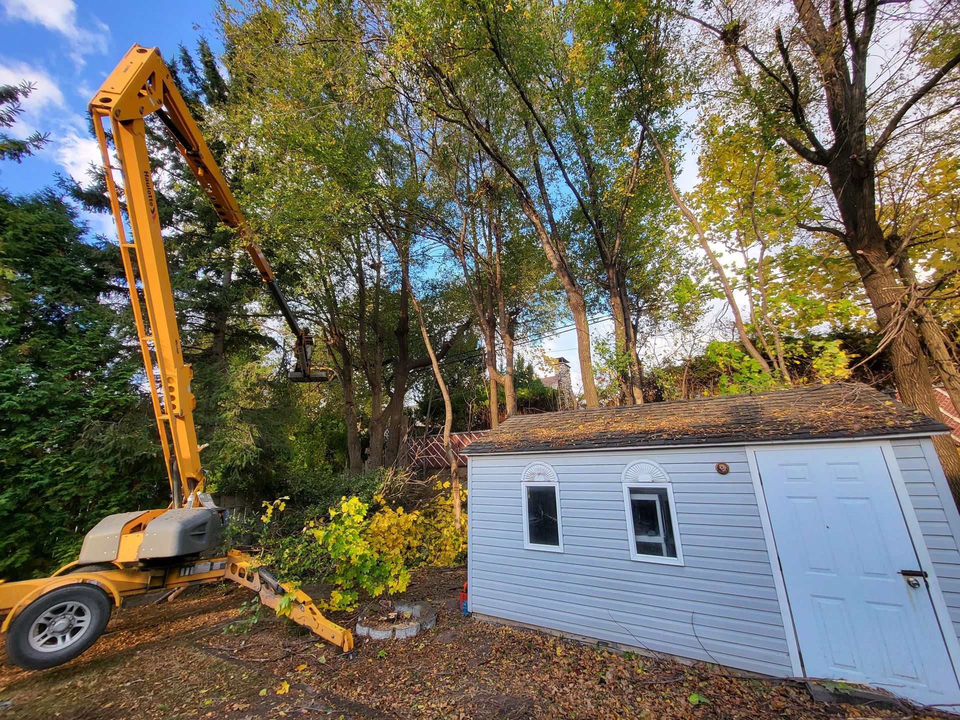 Une grue jaune coupe un arbre devant un hangar blanc.