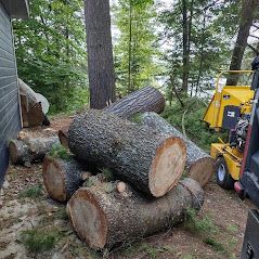 Une pile de bûches superposées dans les bois à côté d'une maison.