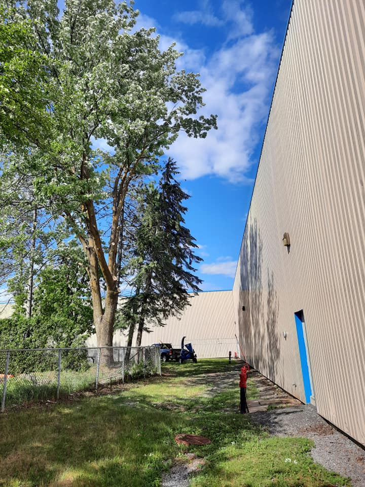 Un grand bâtiment avec beaucoup d'arbres devant