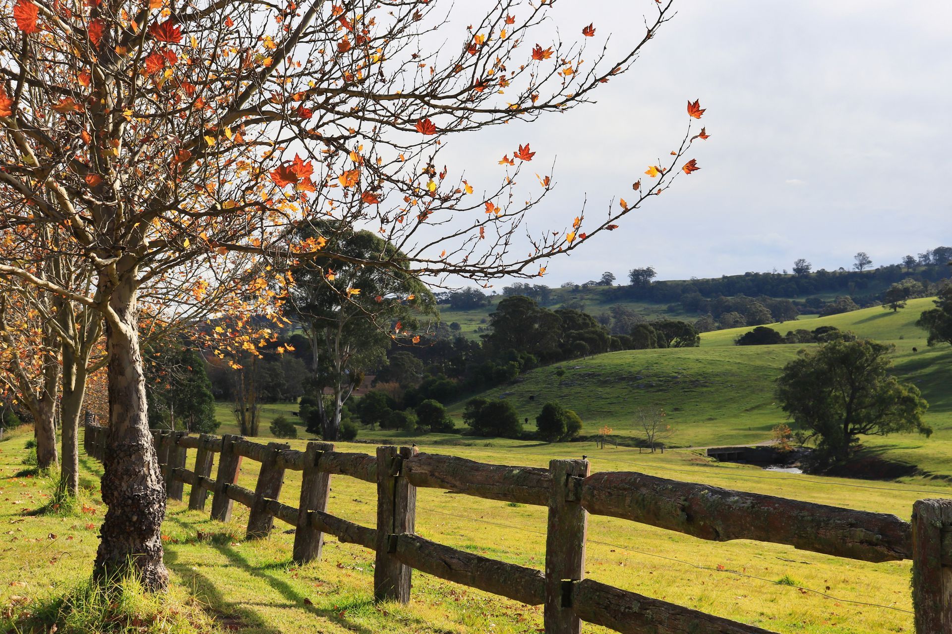 A Wooden Fence Lines a Grassy Field — Illawarra Underfloor Heating In Southern Highlands, NSW
