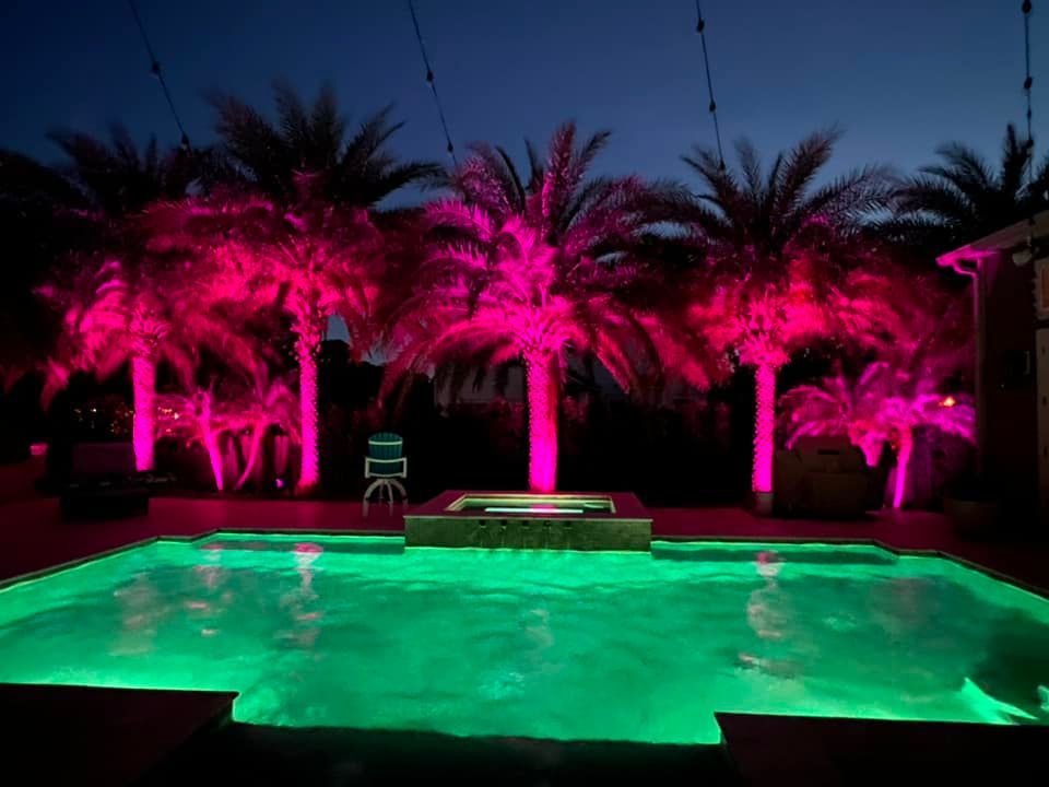 A swimming pool with palm trees lit up in pink and green A swimming pool with palm trees lit up in pink and green
