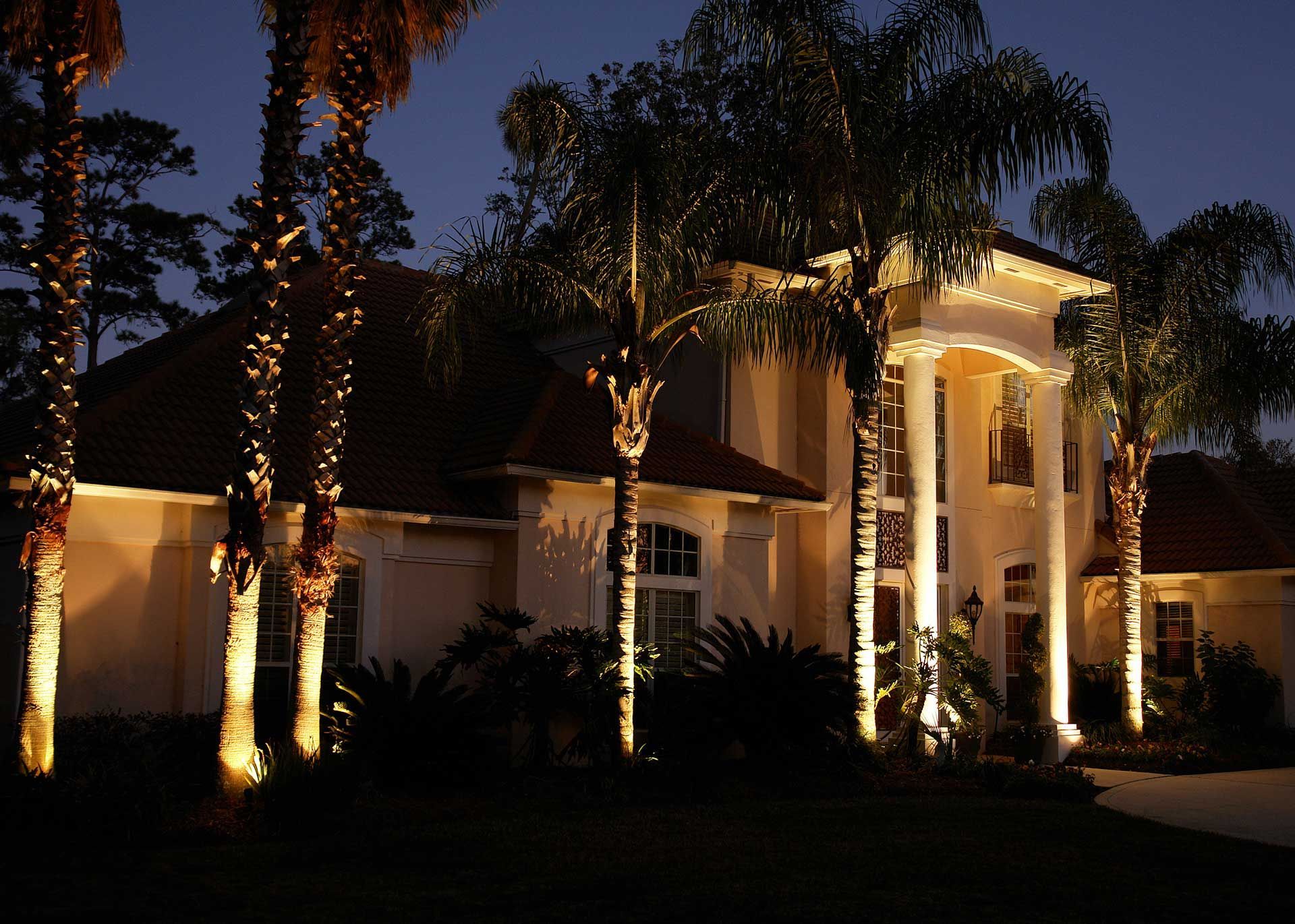 Luxury home with palm trees and elegant outdoor lighting at night.