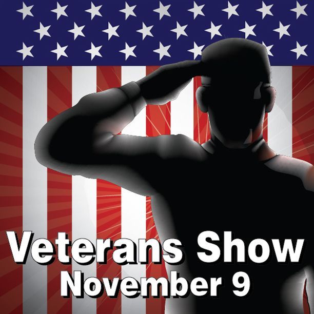 A soldier in silhouette salutes against an American flag background. Text reads: 