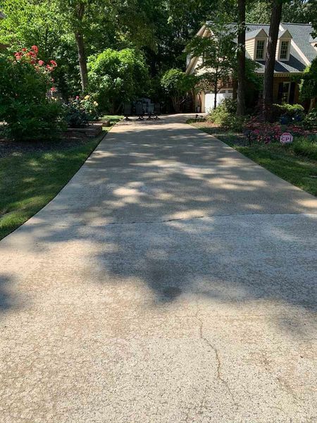 Tree-lined concrete driveway leading to a house, with greenery and shadows on both sides.