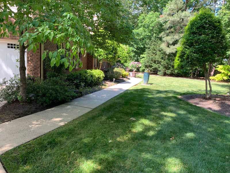 Sunny landscaped front yard with sidewalk, green lawn, trees, and a brick house.