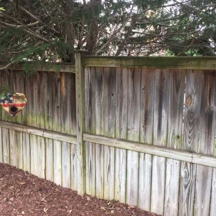 Weathered wooden fence with evergreen trees behind it and a hanging bird feeder on the left.