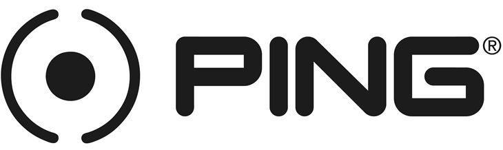 The ping logo is black and white and has a circle in the middle.