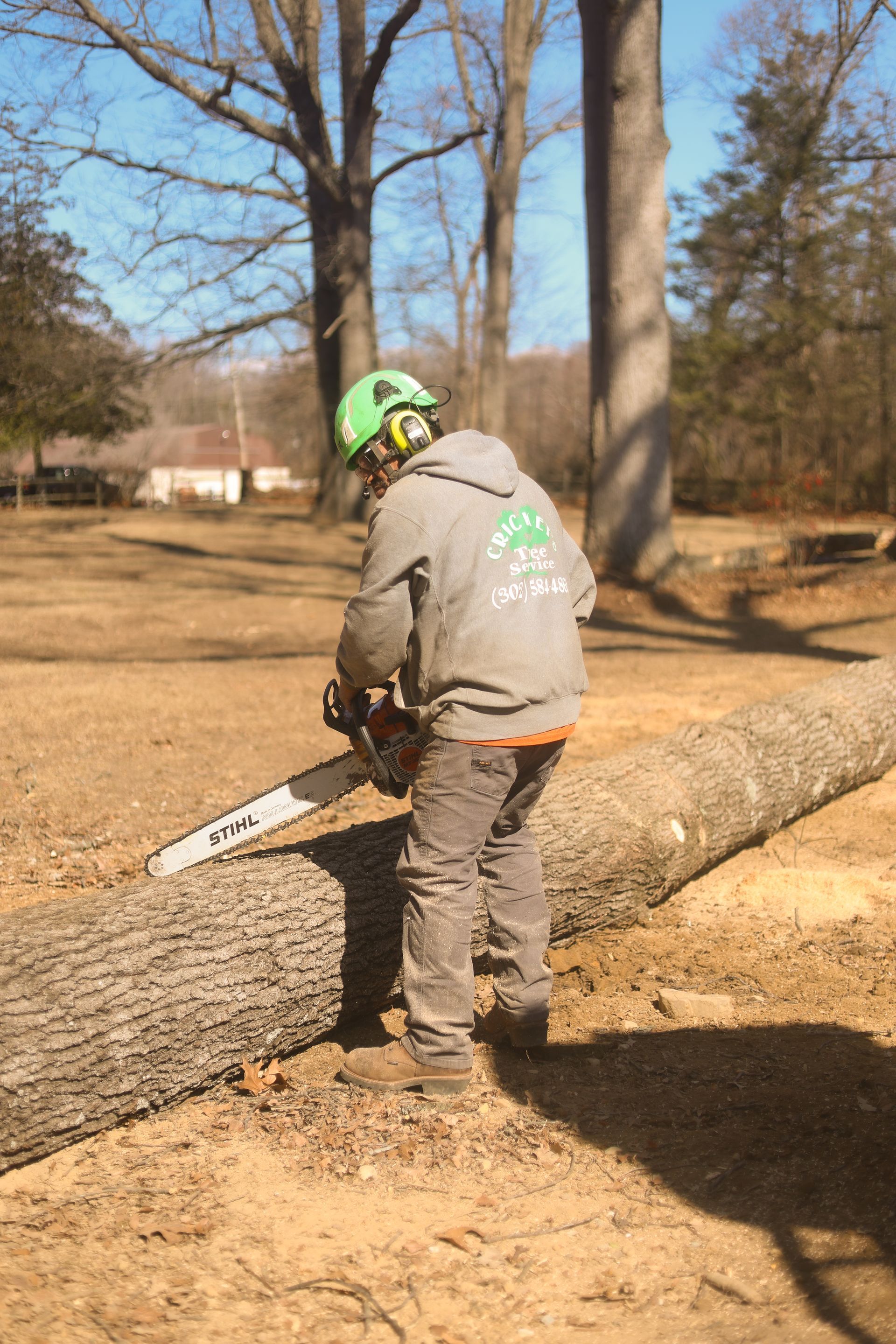 Worker using a chainsaw to cut a fallen tree trunk outdoors in a wooded area
