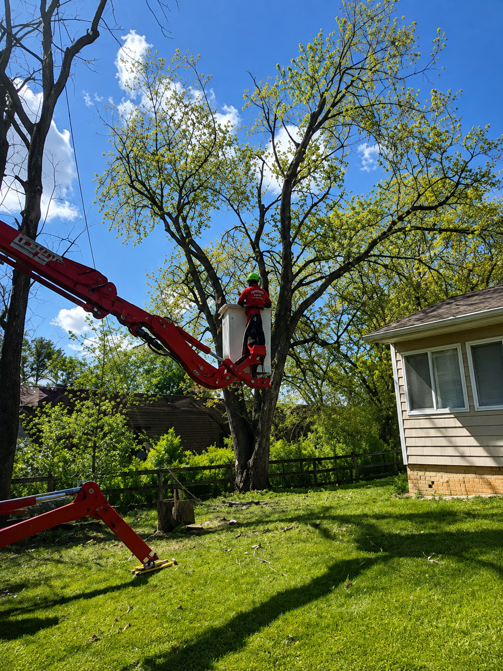 Worker in a red boom lift trimming tree branches beside a house on a sunny day. Worker in a red boom lift trimming tree branches beside a house on a sunny day.
