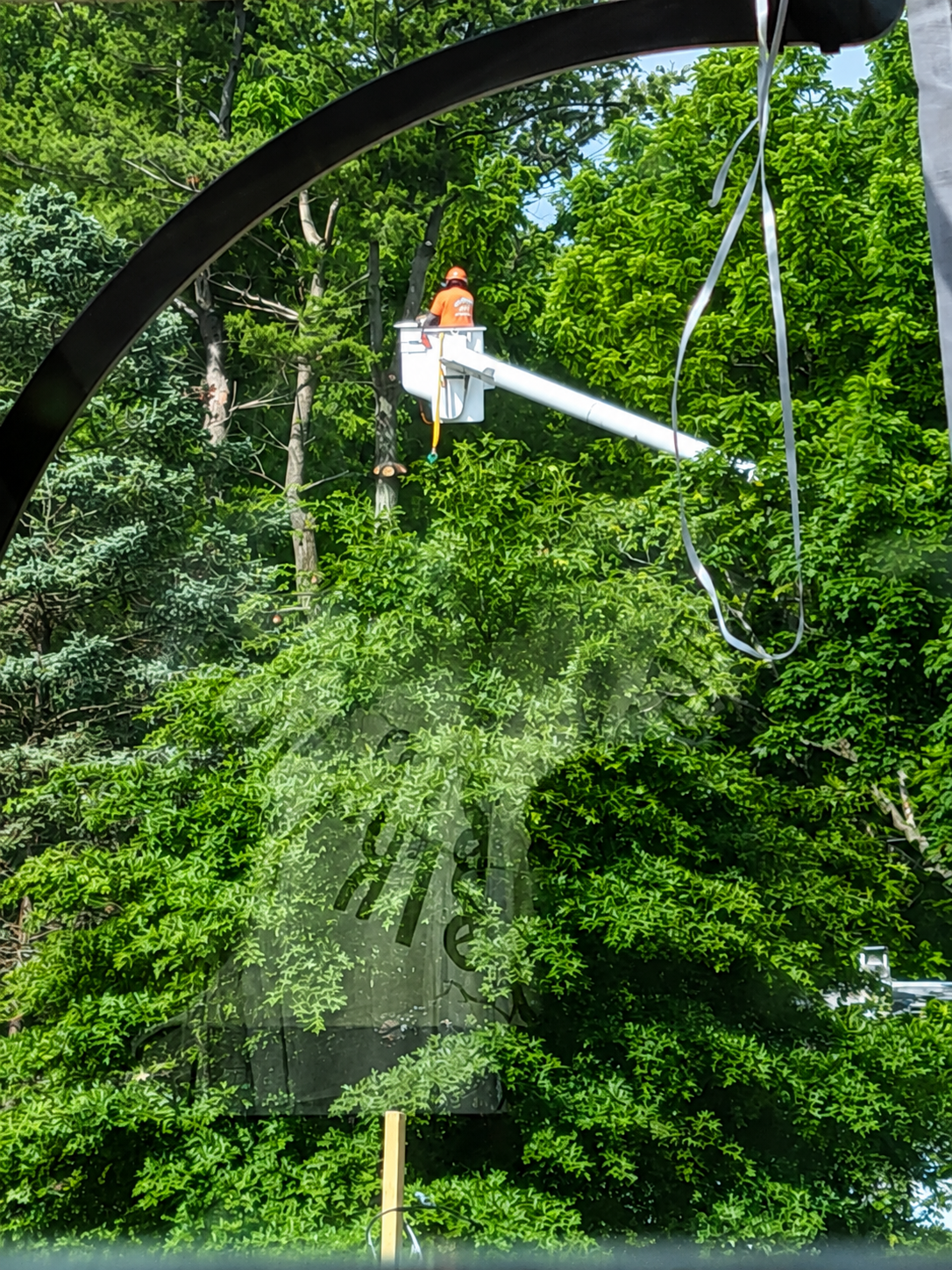 Person on a white zipline against a lush green forest background