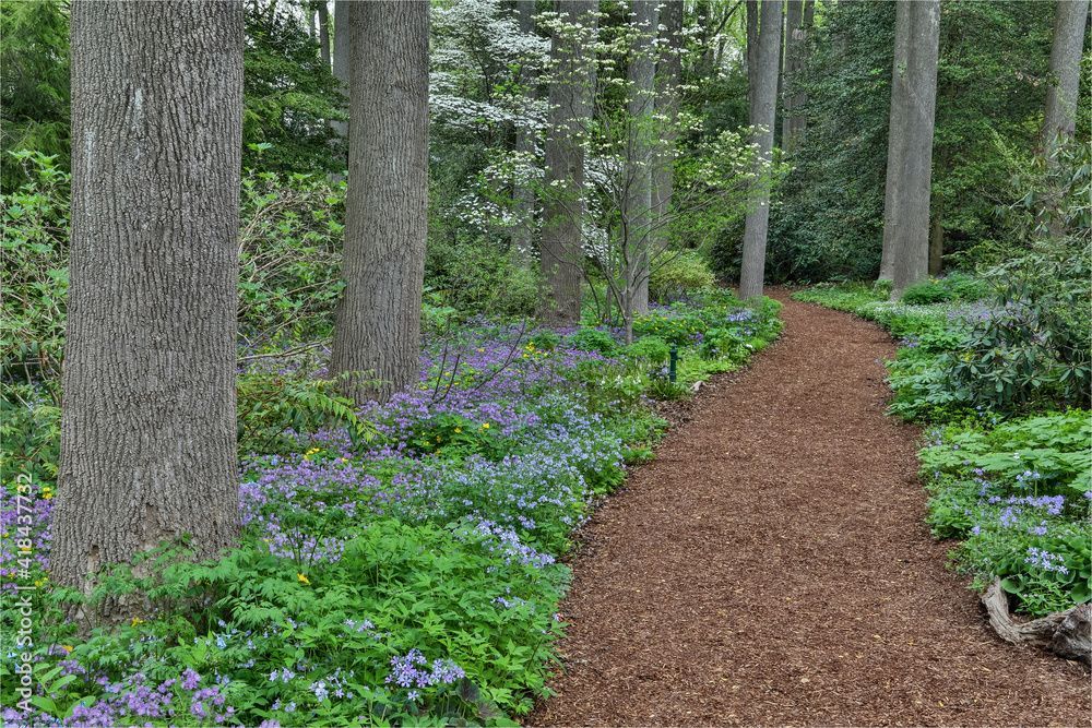 Hockessin, Delaware