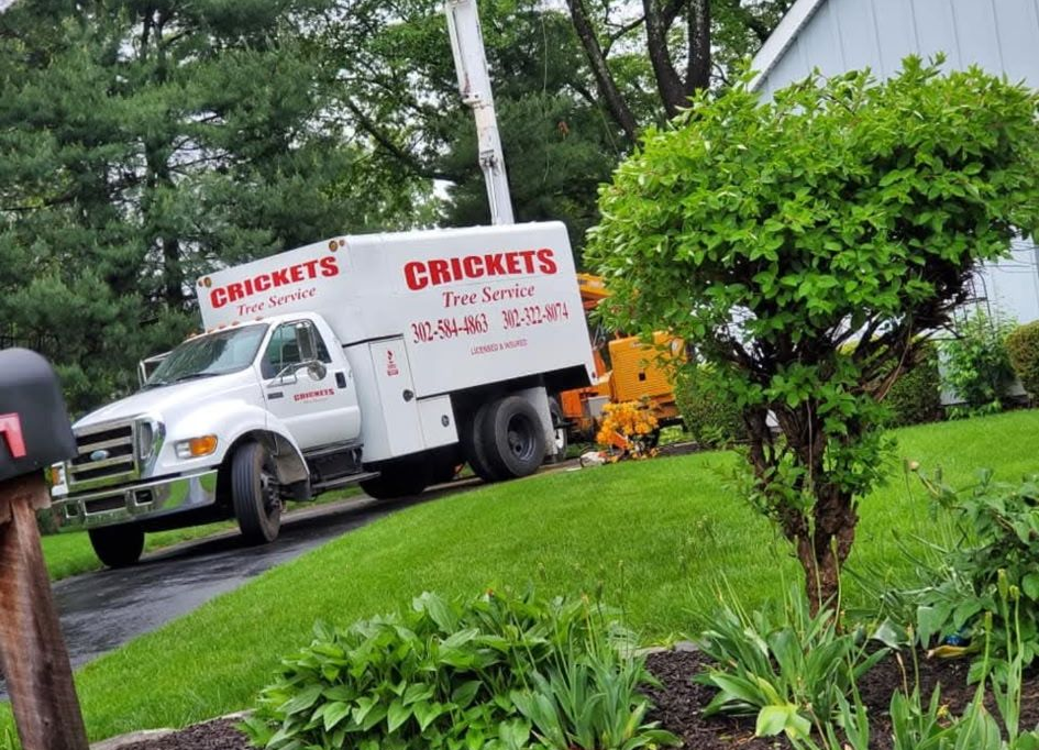 White Crickets service truck parked on a rainy, green roadside beside a trimmed tree