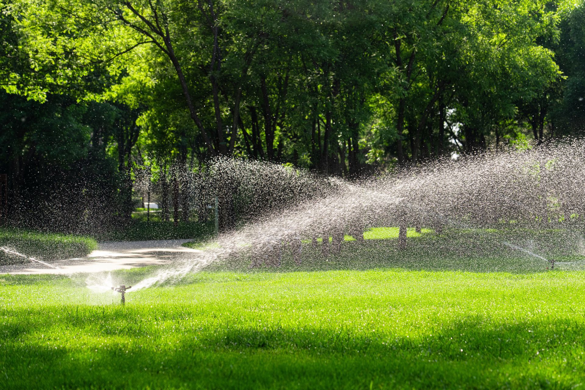 Sprinklers watering a bright green lawn in a sunny park with trees in the background