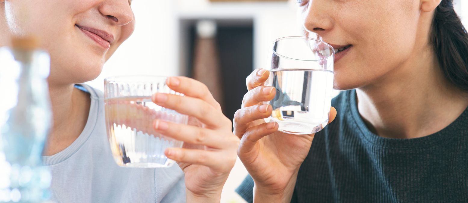 water filter for your home means you can feel rest assured that you are serving clean water