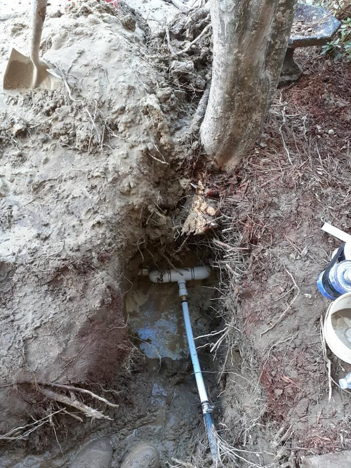 Exposed underground pipe beside a tree in a muddy trench, with a blue PVC line connected to a white T-fitting.