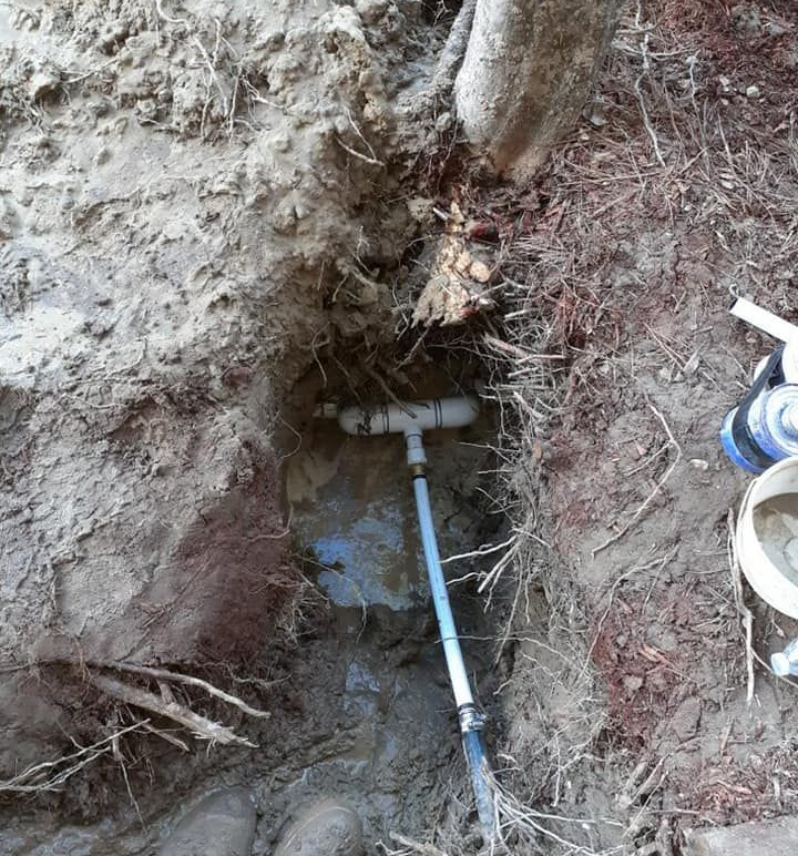 Underground water pipe in a dirt trench with exposed roots and a white PVC pipe connection