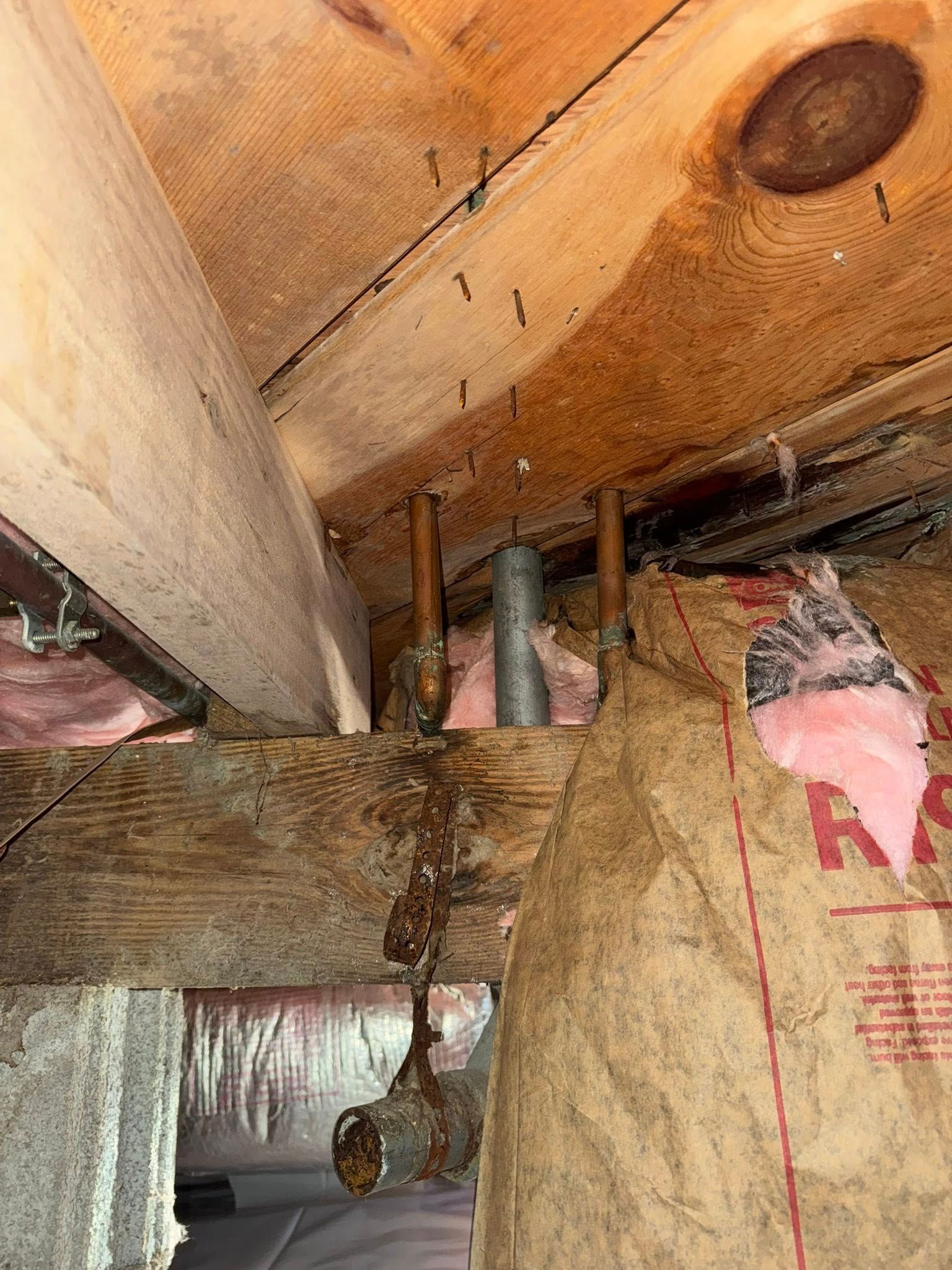Exposed ceiling framing with pipes, insulation, and a hanging wire in an unfinished space