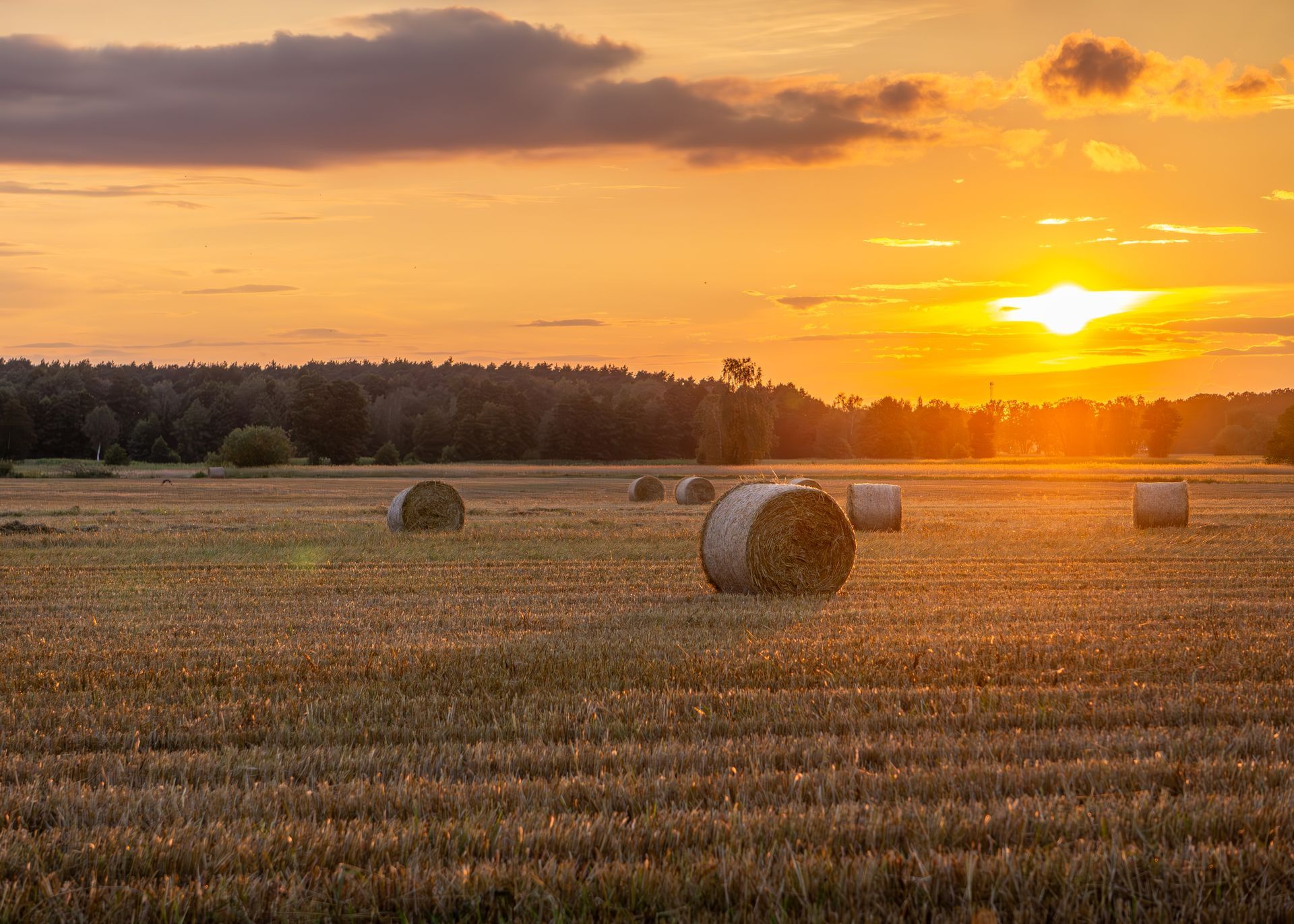 Sunset over a harvested field with hay bales and trees on the horizon