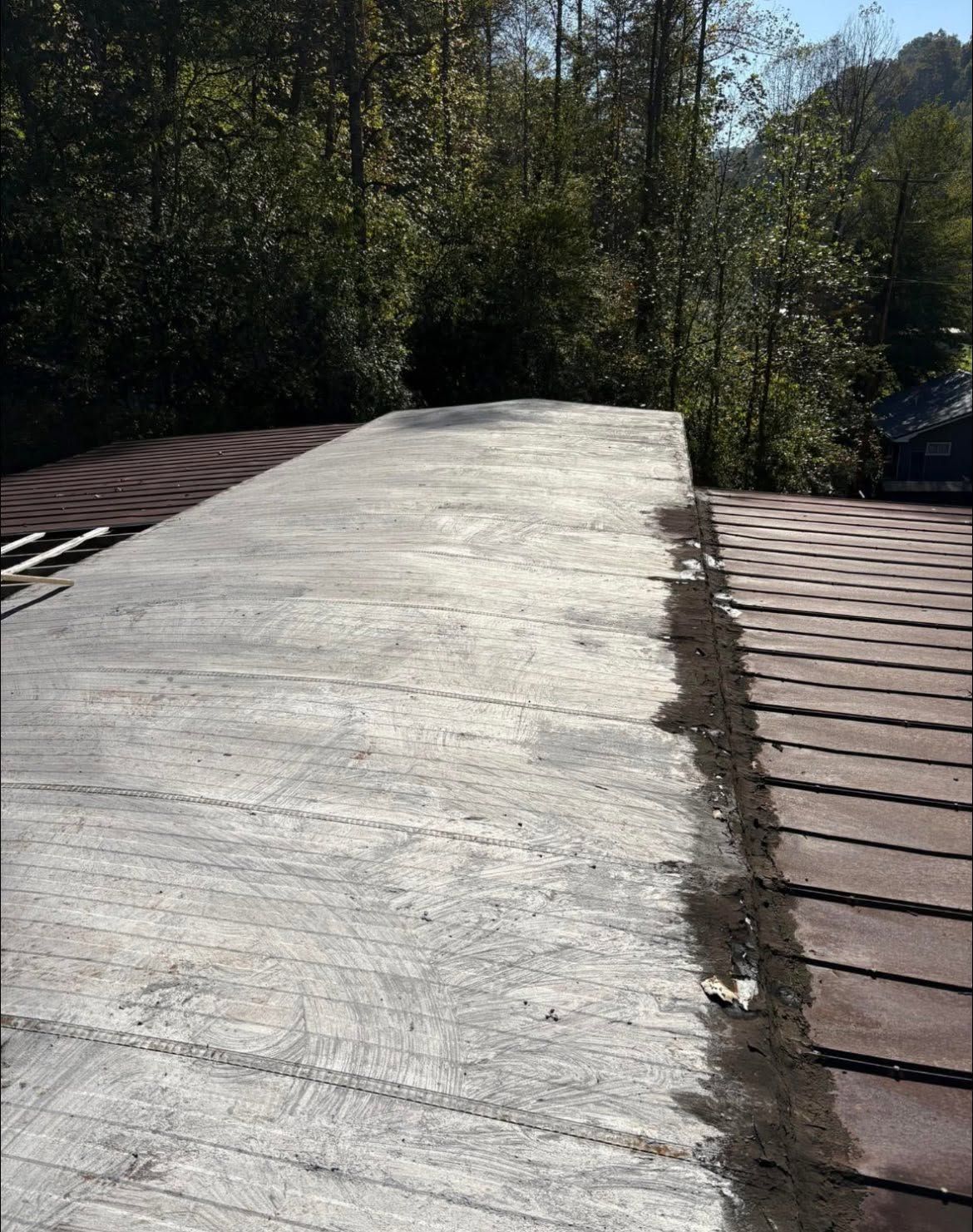 Concrete bridge walkway bordered by wooden planks in a wooded area