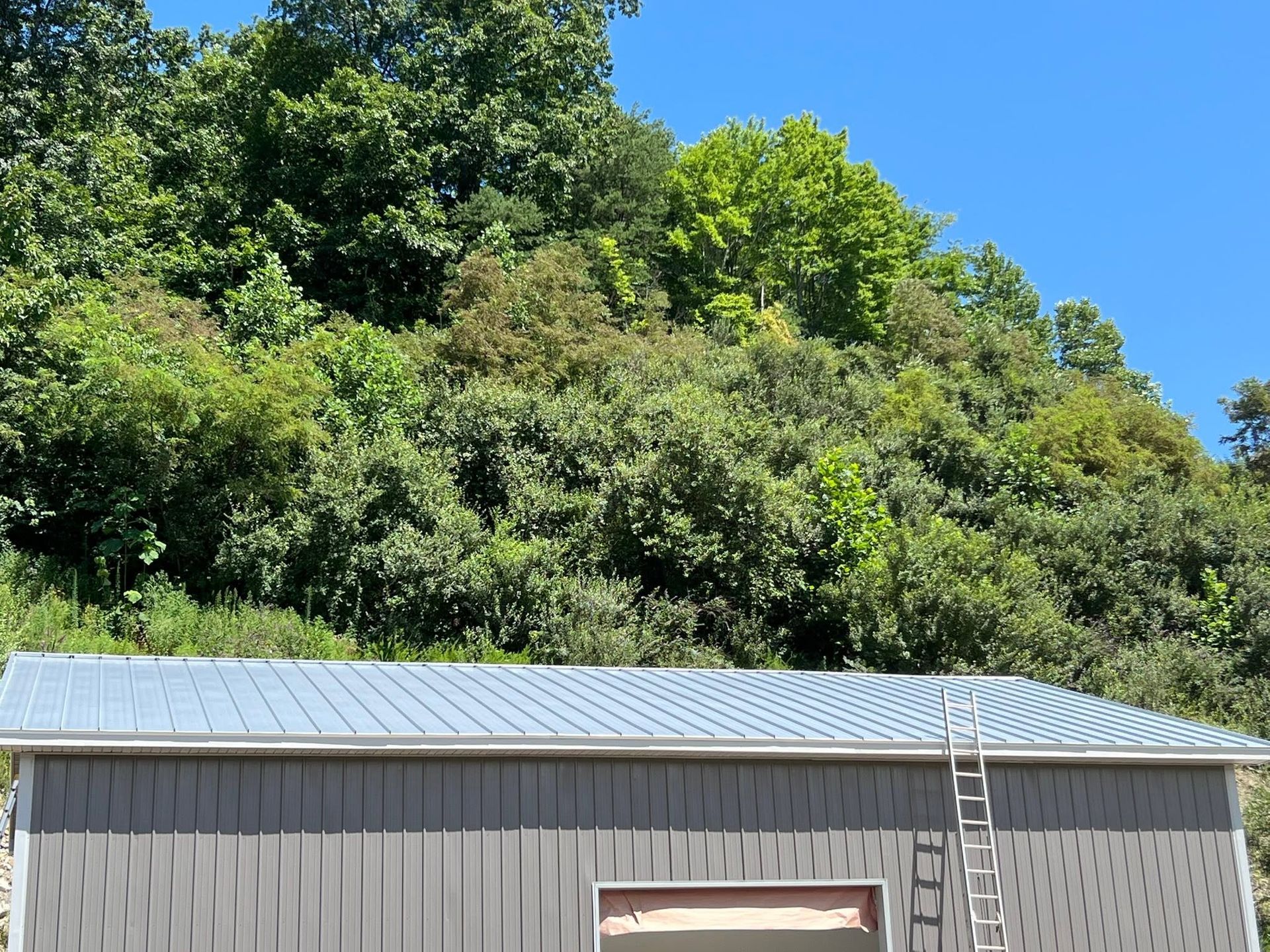 Gray metal shed beside a steep, tree-covered hillside under a bright blue sky