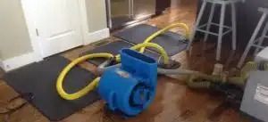Blue carpet cleaner with yellow hose on a hardwood floor near a doorway