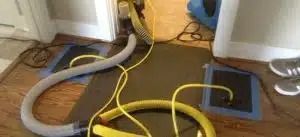 Vacuum hose and yellow cord on a carpeted floor with cleaning equipment nearby
