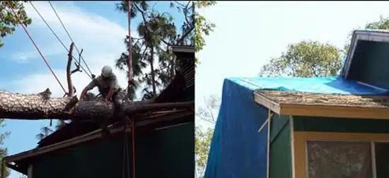 Damaged roof with fallen tree branches on a blue house under clear sky
