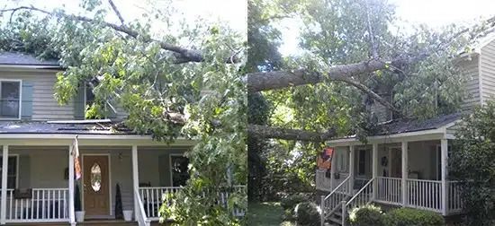 Two-story house with porches partially obscured by a fallen tree across the roof and yard