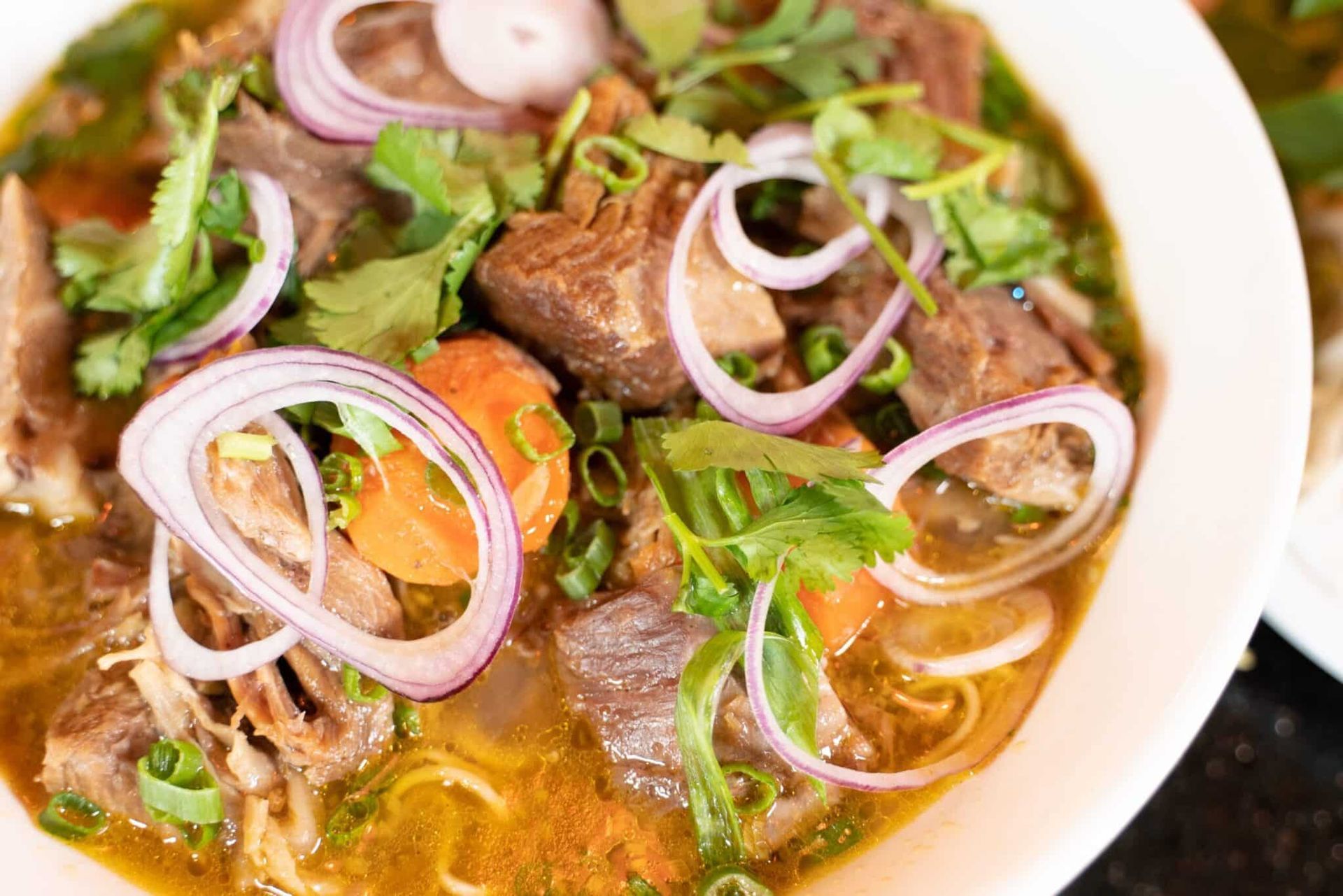 Bowl of soup with beef, herbs, and sliced red onions in a clear broth
