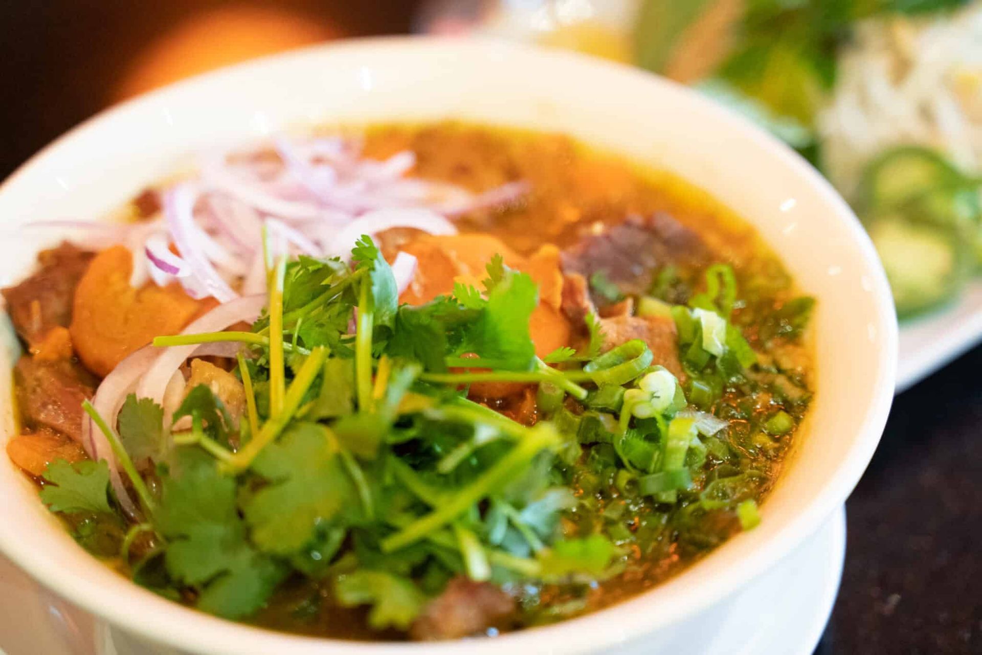 Bowl of noodle soup topped with herbs, sliced onions, and meat in a white bowl
